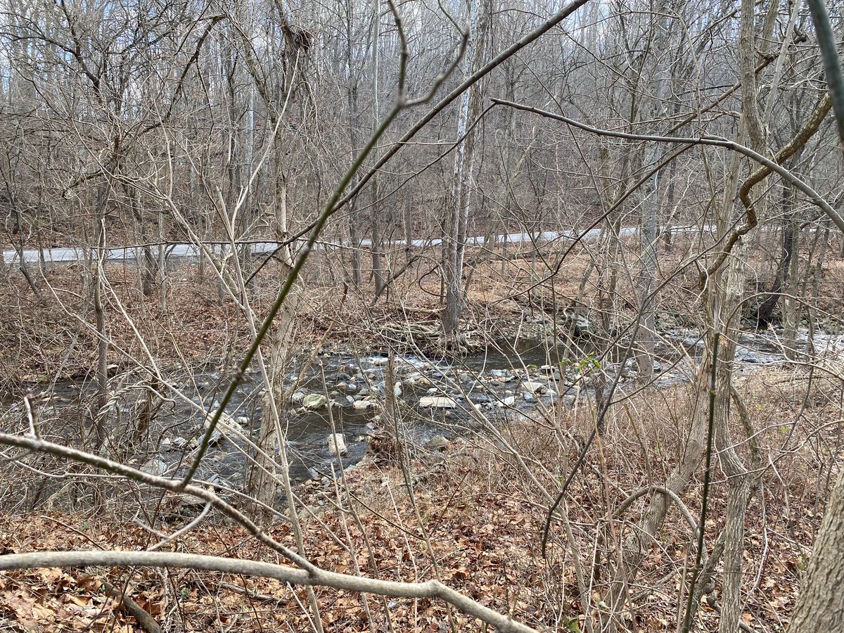 RxSQLKat's tweet image. A little nature therapy this morning.  What a great way to recharge for the week.