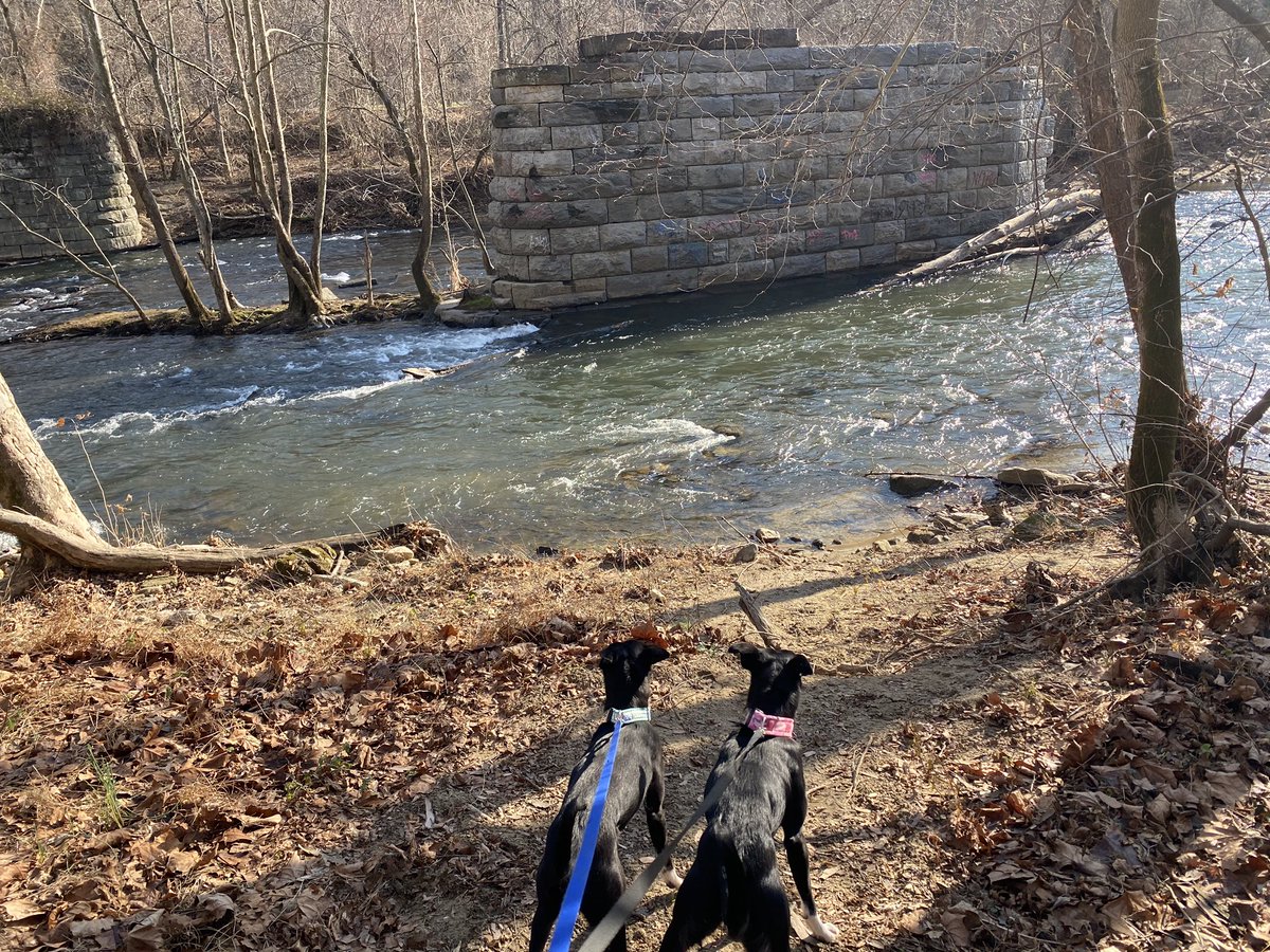 RxSQLKat's tweet image. A little nature therapy this morning.  What a great way to recharge for the week.