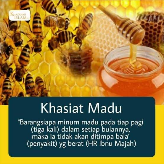 yubalam's tweet photo. Nak tau harga madu tualang yubalam?
Nak order madu tualang yubalam?
Ada akaun shopee?

Klik kt link ni
https://t.co/iPg80RNfCv

#madutualang #maduyubalam https://t.co/HKHxK8Yhjm