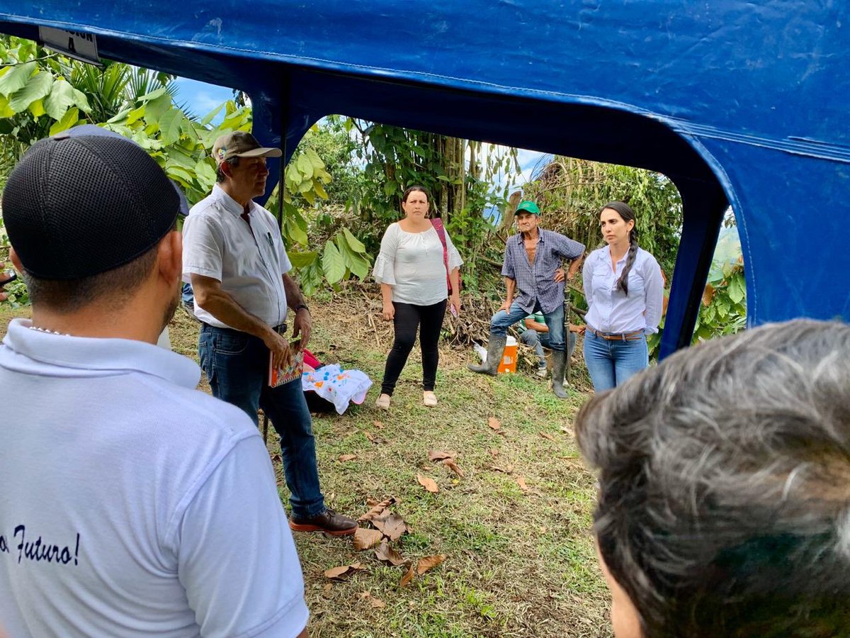 ComiteCacao's tweet photo. @fedecacao acompañando a los productores del Occidente de Boyacá, #Pauna #Alianzas #mayorproductividad https://t.co/ozFemFAZe5