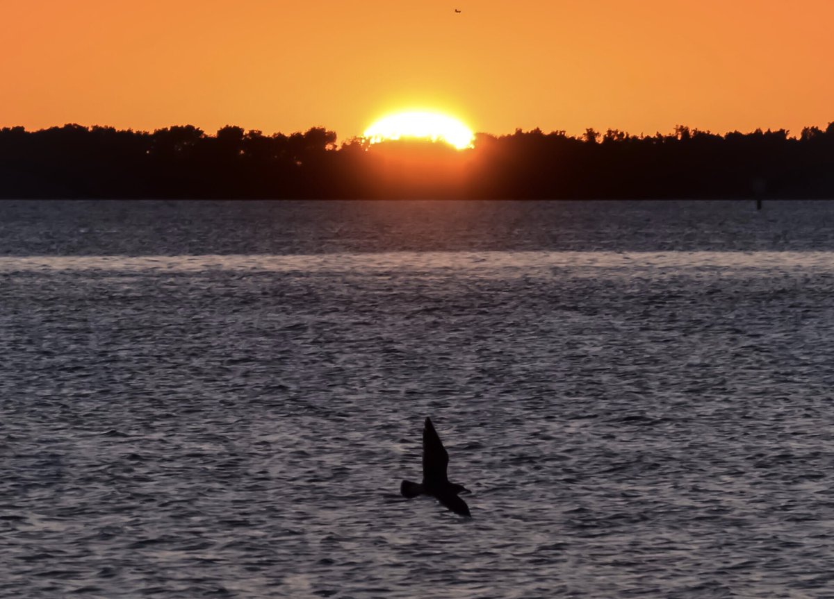 Tonight’s Floridian Sunset ✌🏼🌞✌🏼 <a href="/StormHour/">#StormHour</a> <a href="/RealSaltLife/">Salt Life</a> <a href="/ThePhotoHour/">#ThePhotoHour</a> 🖖🏼🌞🖖🏼