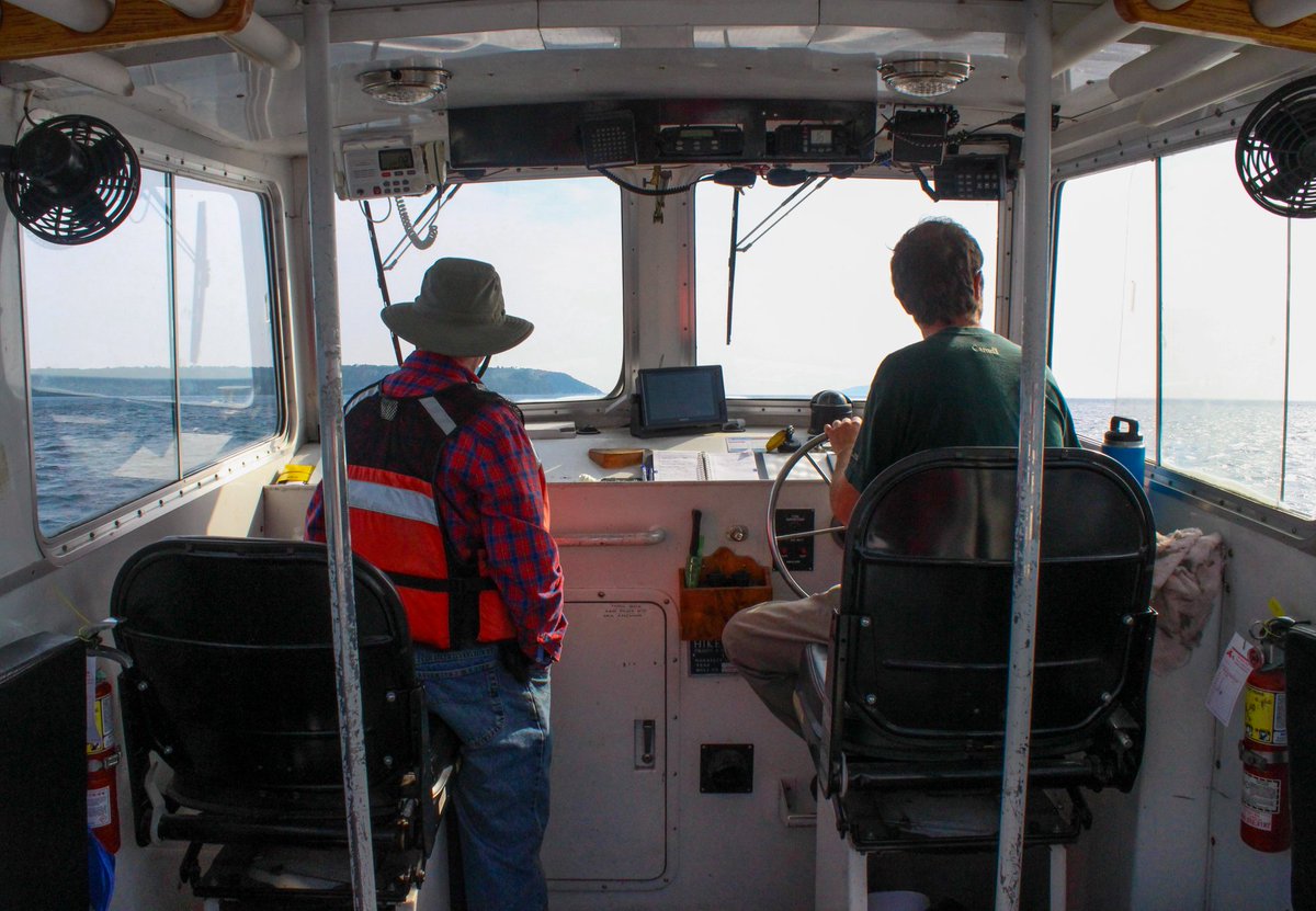 pcparkslife's tweet photo. This summer we got to experience the work @ParksCanada does in science and conservation.
From checking 🔍 for the invasive Hemlock Woolly Adelgid at #KejimkujikNP to frog monitoring 🐸 at @WatertonLakesNP to being aboard a research vessel 🛥 at #FathomFive National Marine Park! https://t.co/SNOV2hTMAv