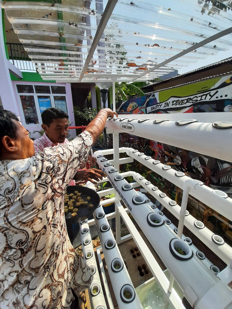 Penyemaian bibit Pokcoy Untuk tanaman hidroponik di RPTRA Kampung Budaya @sudinppappjp <a href="/Ermasuryani63/">Erma Suryani</a> <a href="/kusumawati_tuty/">Tuty Kusumawati</a> <a href="/dppappdki/">Dinas PPAPP Provinsi DKI Jakarta</a> <a href="/aniesbaswedan/">Anies Rasyid Baswedan</a> <a href="/feryfarhati/">Fery Farhati</a>
