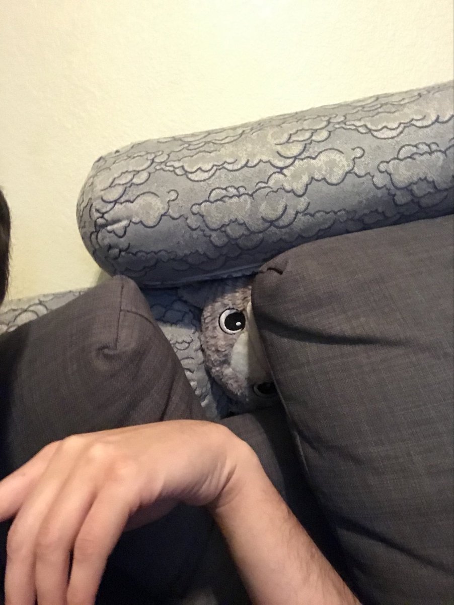 casualcustodian's tweet image. Somebody’s watching me. #catpillow
