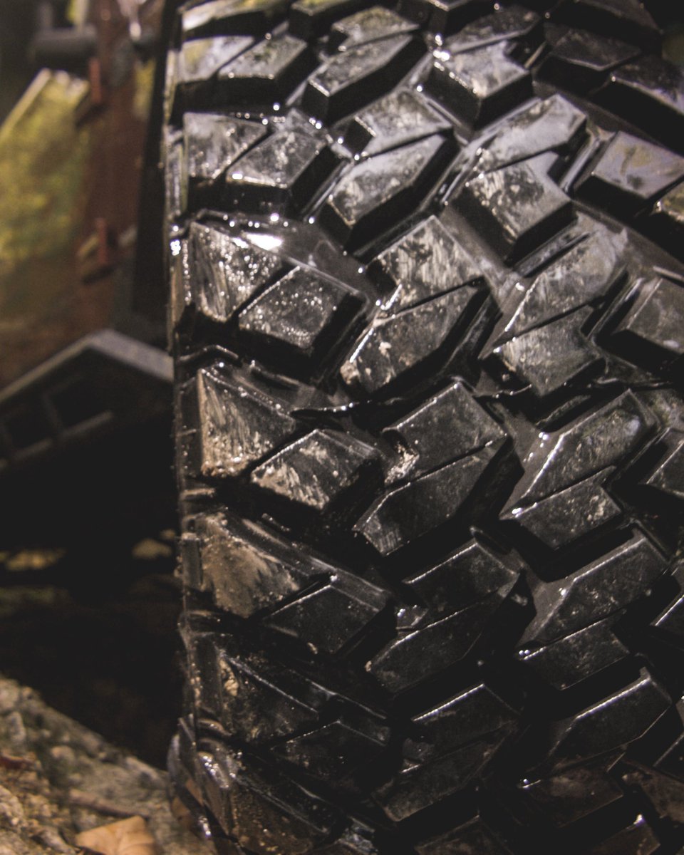 Dirt, snow, mud, water. We can handle it. ⁠⠀
⁠⠀
#Nitto | #NittoTire | #NittoTires | #TrailGrapplers | #GrapplerAdventure | #GrappleIt | #MudTire | #MT | #MTTire | #GoGrappler | #4x4 | #Wheeling | #4x4 | @NittoTire
