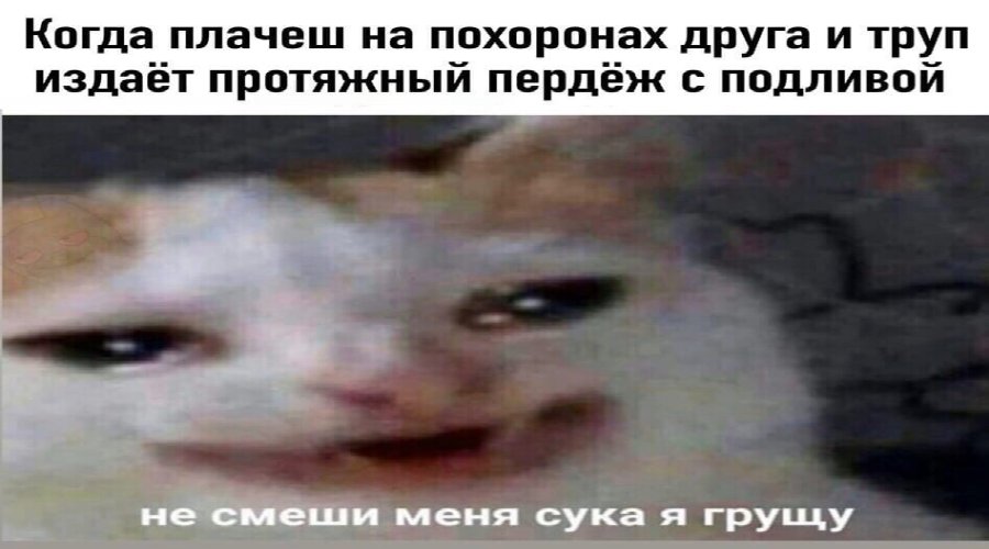 EL4-1yzWwAAXZcN?format=jpg&name=medium