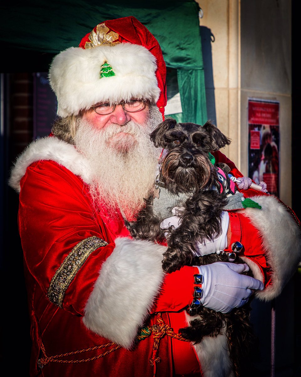 LorrainePorter's tweet photo. @fetchlovespets @Soopapets @BecoPets @foralldogkind Bellaminischnauzer would love these prizes as presents in her stocking from Santa https://t.co/hq9DCfZ0W2