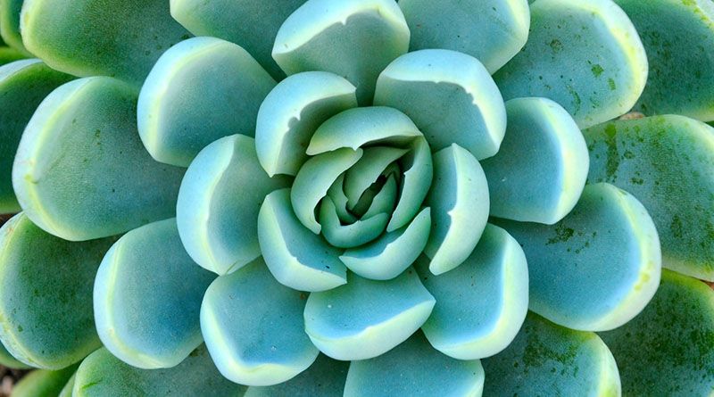 thinkers360's tweet image. Modern Elder Academy buff.ly/2LwhMcX via @tobinw on @Thinkers360 #Leadership #ModernElders