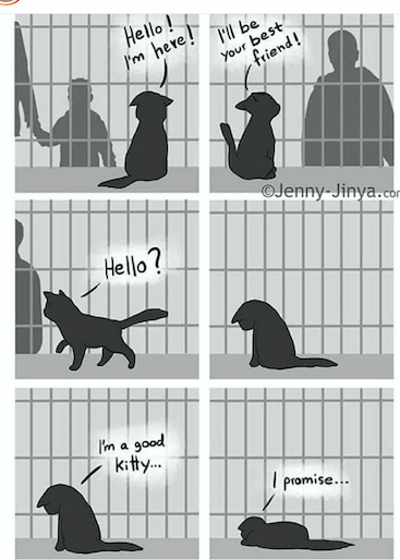 GiveLuckyBack's tweet photo. This is what it feels like to be a critter with your life on the line sitting in a lonely, cold, cage &amp; a scary shelter watching hope pass by.  #SaveTheShelterKitties #KittySOS #AdoptDontShop #BringOneHome #CatChristmas.  They #WantotLive  #DontGiveUpOnKitties 
RT
↘️↙️ https://t.co/9tAFgcin8X