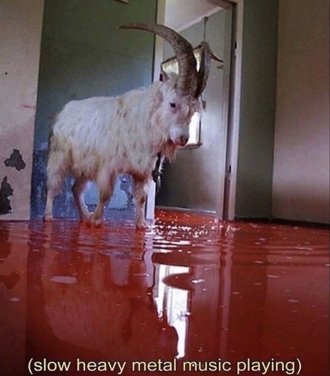 capricorns stepping into their szn