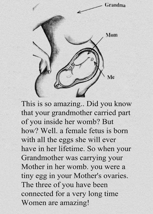 Phehaaa's tweet image. But tweeps are saying my maternal undergang don't recognize me, that time they carried me 🙄🙄#lobola #lobolo