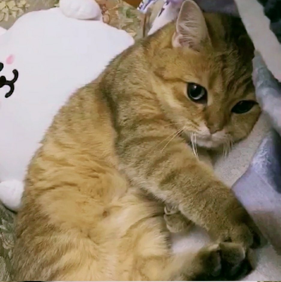OO_0919_OO's tweet photo. 판박이네 판박이야 ऀืົཽ≀ ͔ ͕̮ ऀืົཽ✧ https://t.co/XqTNUYCSe7