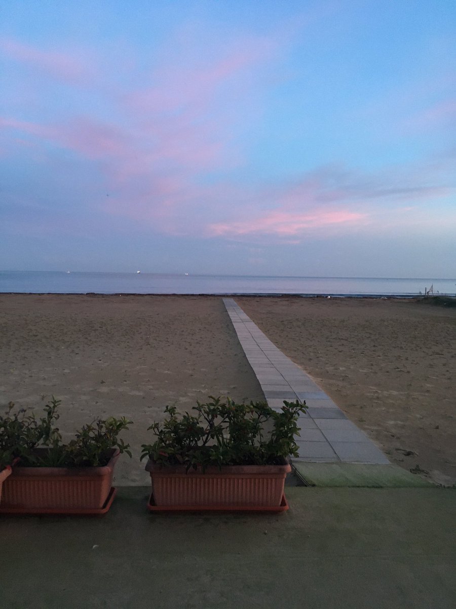 AssuntaAnna's tweet image. 