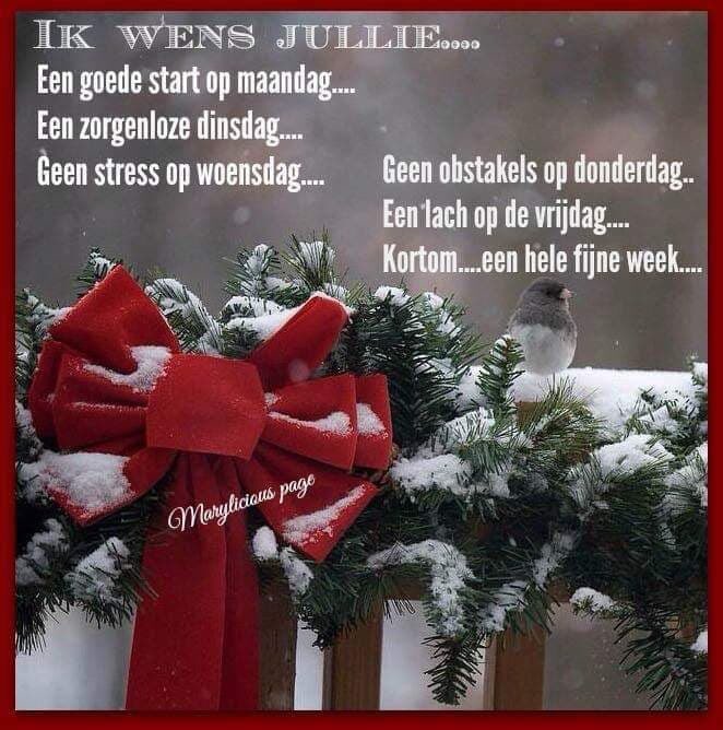 LucVervloet's tweet image. #Goedemorgen  #twitterland  #weekprogramma