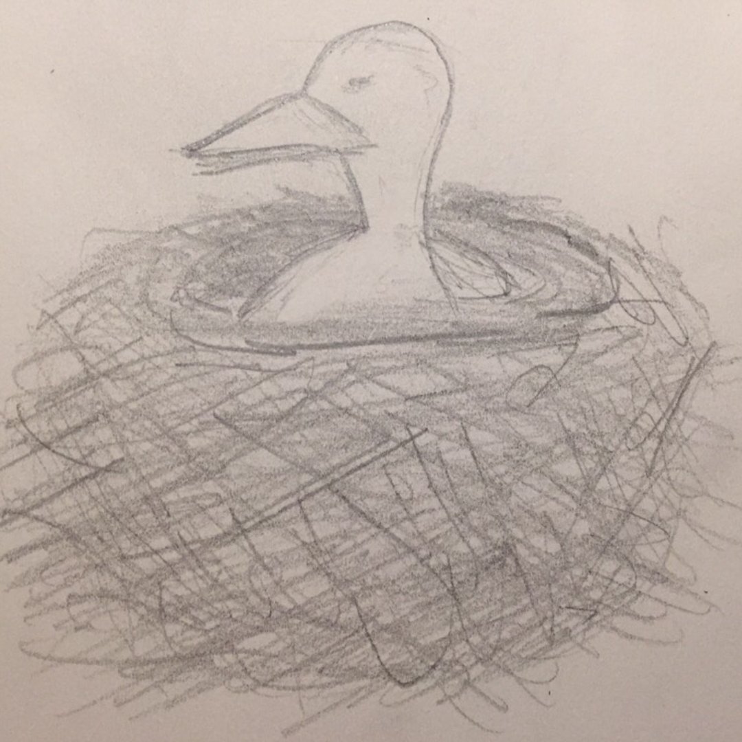 Josh Grob tweet media