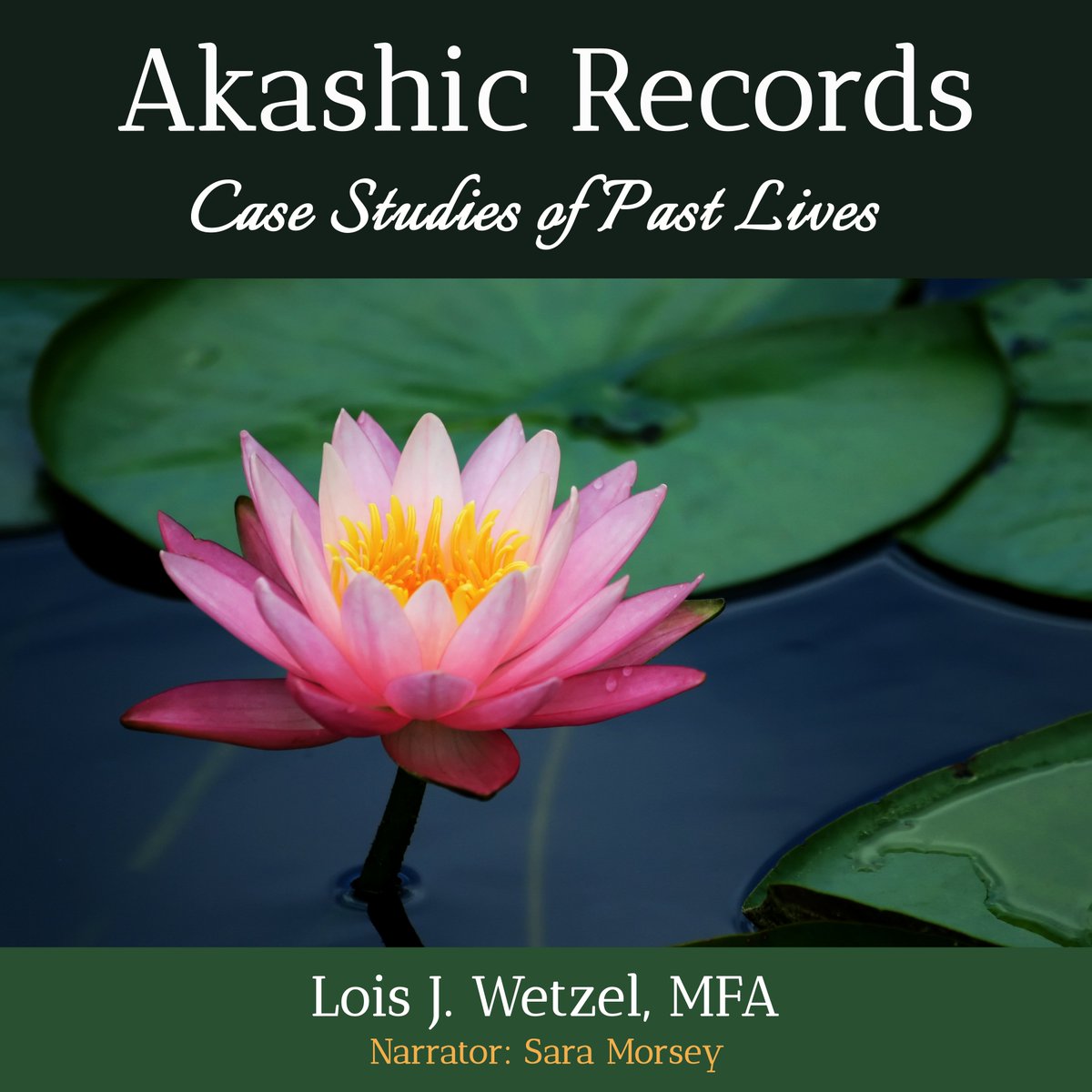 HPLotus's tweet photo. Four metaphysical titles. Riveting adventures! Impossible to put down. #awakening #Ascension #AwardWinning #pastlives #AkashicRecords #ChakraBalancing #BirdTribes #Reincarnation #omens #healing #energymedicine https://t.co/dELIqZGO01 https://t.co/HyA2uoYT2S