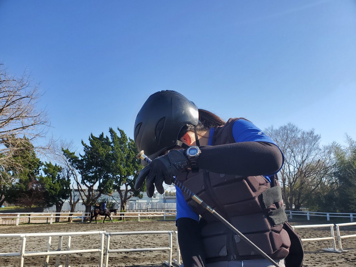 すべてのカタログ フレッシュ みん ゴル 6 ライジング ショット すべてのカタログ フレッシュ みん ゴル 6 ライジング ショット