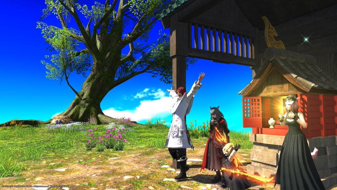 ドードー の評価や評判 感想など みんなの反応を1時間ごとにまとめて紹介 ついラン ドードー の評価や評判 感想など みんなの反応を1時間ごとにまとめて紹介 ついラン