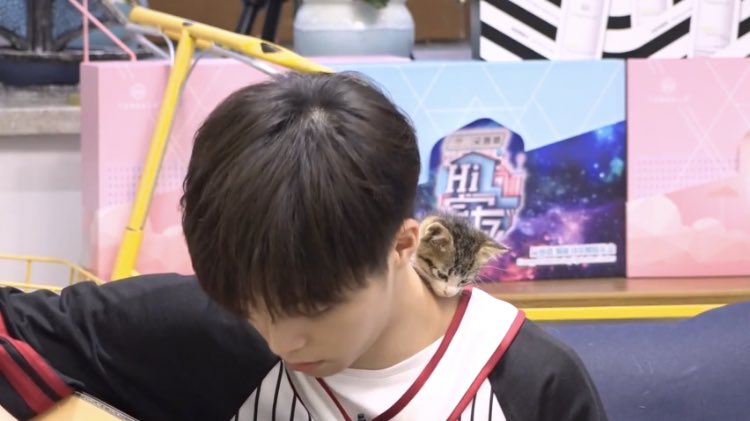 ซ้ม — 农🐰🌤️ tweet media