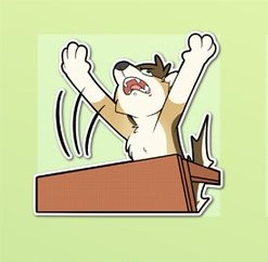 StatementsofWar's tweet image. 