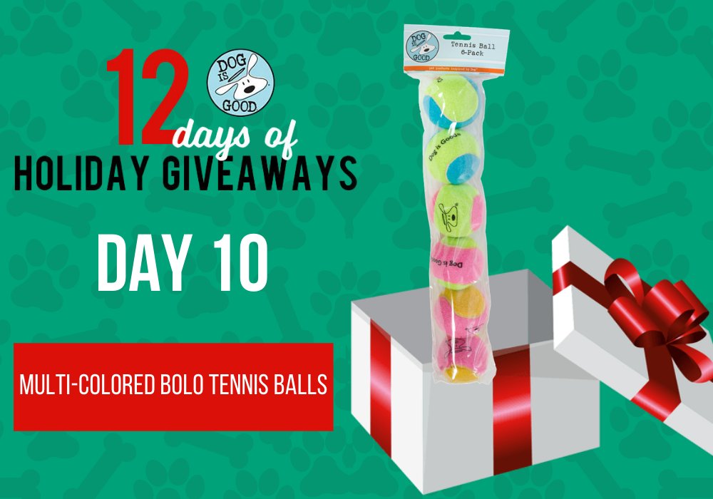 🎁 It's Day 10 of Dog is Good's 12 Days of Holiday Giveaways!

✅ Enter to win the Multi-Colored BOLO Tennis Balls
bit.ly/351kK0w

🐾 Perfect holiday gift for your pup!