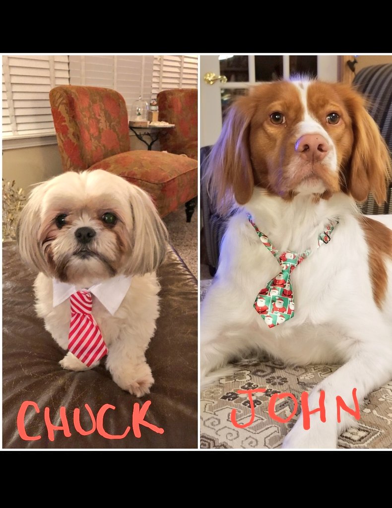 John Langton tweet media