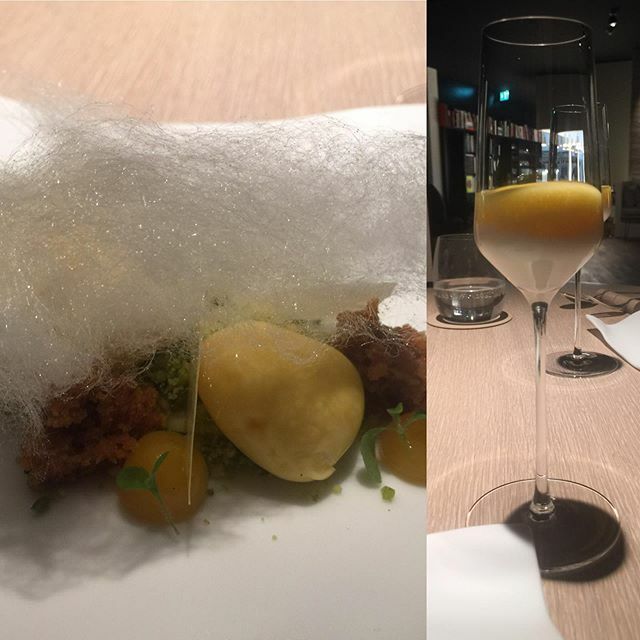 Eighth course @biancrestaurant - white chocolate/mandarine/bergamot orange - sweet courses were similar successful as the savory ones #hamburg #germany #dinner #restaurant #vacation #tastingmenu #michelin #michelinstar #bianc #whitechocolate #chocolate #… ift.tt/2M07bqL