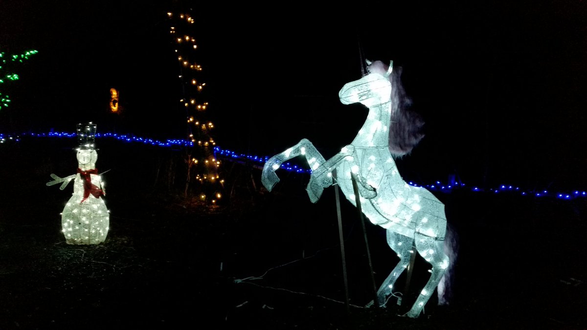 almelou's tweet photo. Festive evening @MUNBotGarden walking through panoply of dazzling tunnel of light, we wander beneath the forest canopies, trees and bushes are magically lit by colorful twinkling ribbons and lanterns of light. #merryandbrightnl #ThePhotoHour  #outdoors #WinterWonderland https://t.co/o7r8bF346e