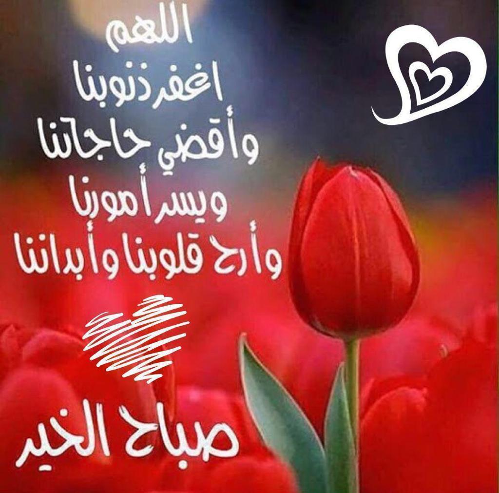 mj1400_h's tweet photo. صباح الخير https://t.co/DHkZjLvXV2