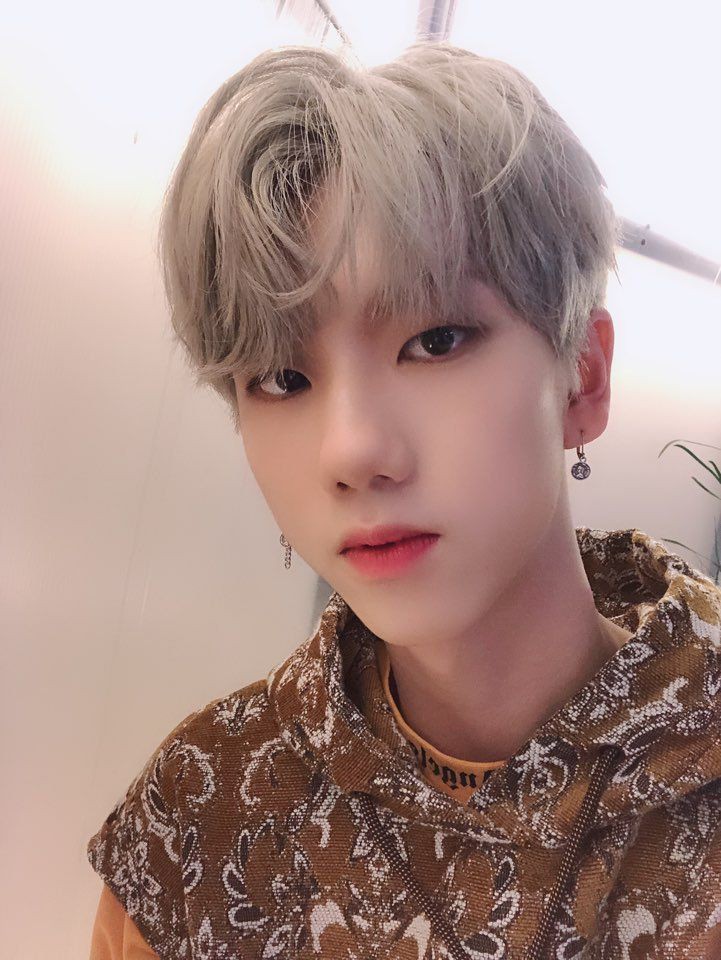 ◦•●◉✿ 𝕷𝖆𝖒𝖇𝖔 ✿◉●•◦ @la tweet media