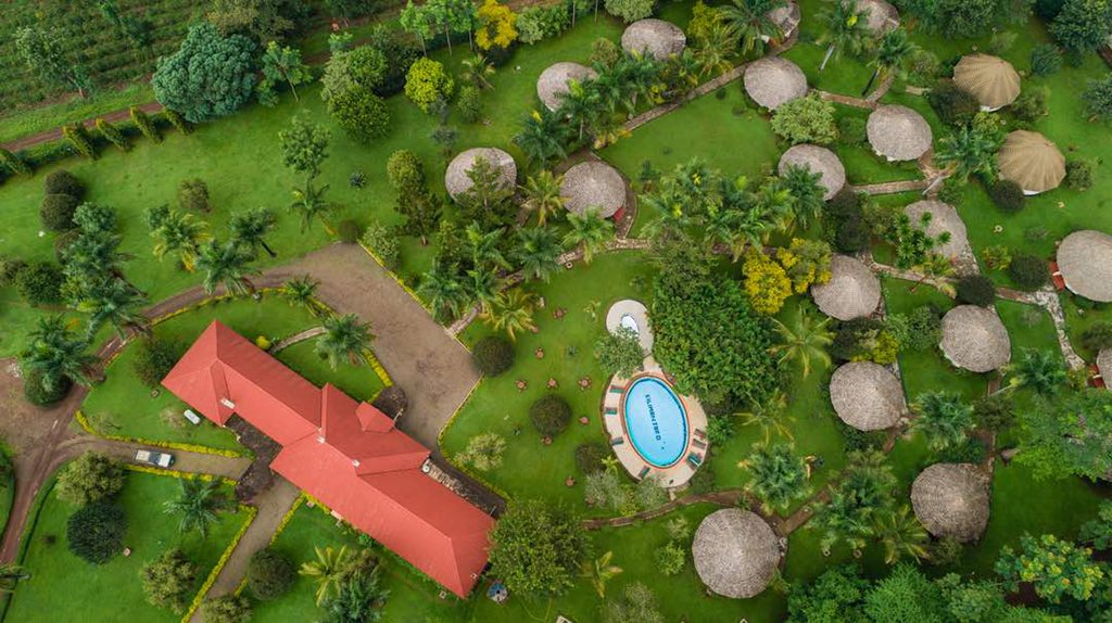 medusa4_0's tweet photo. @Kilemakyaro in Moshi along Mweka Road, past KCMC. Book your stay at a private paradise and get your peace of mind back ready for 2020
✉️info@kilimanjarosafari.com 
📞+255 763 777 400 https://t.co/lM4XRJ15sy