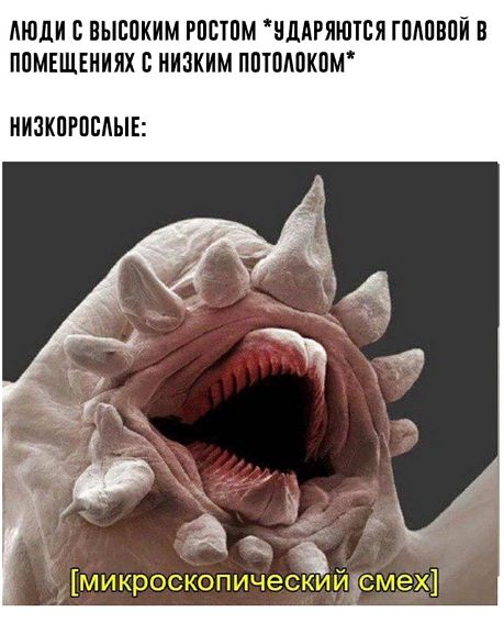 EL4_FaaWoAEv69i?format=jpg&name=small