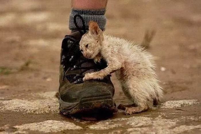 Ania27El's tweet photo. إياك أن تؤذي روحاً لا تستطيع رد أذاك إلا بأنين لا يسمعه إلا الله ... https://t.co/j36av3vvN4