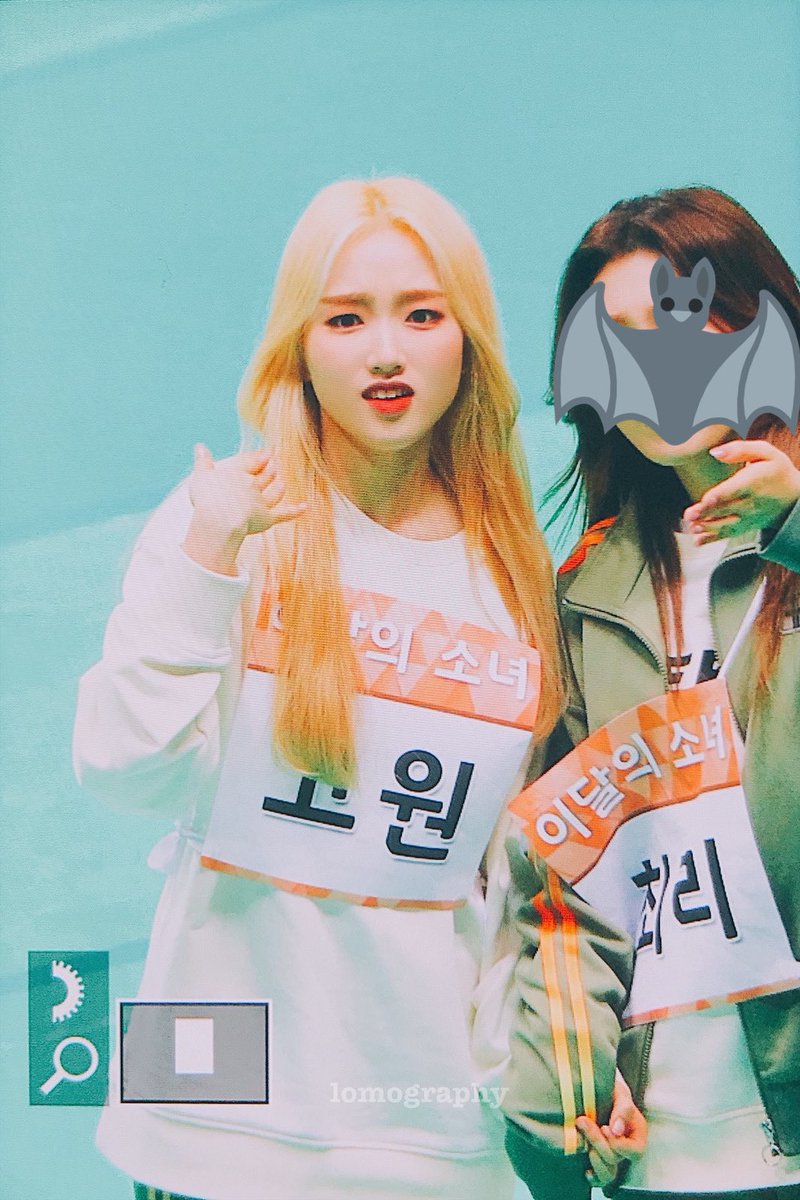 lomography_'s tweet photo. 3센티 콩알이 https://t.co/EtS0m64qx4