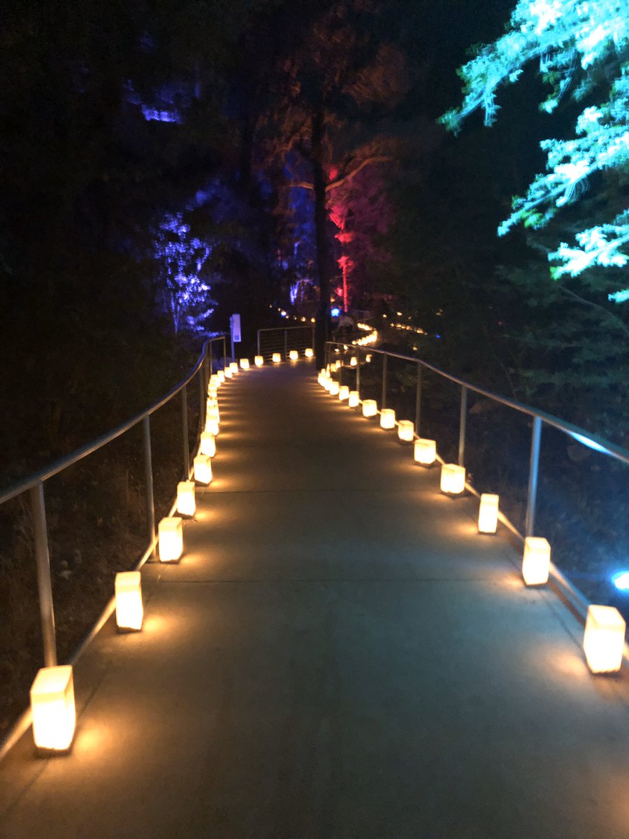 nicholaspersac's tweet photo. Holiday lights at UTโs @WildflowerCtr #Luminations https://t.co/3KTjGfbnmh