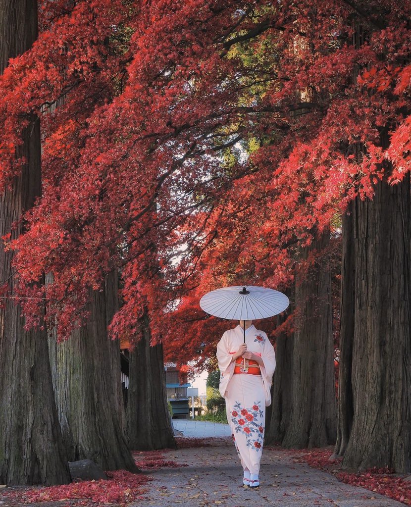 لـن تمطر السماء أزهارا أبدا

فإذا أردنا المزيد من الأزهار

يجب علينا زراعة المزيد من الأشجار

ملاحظة - الصورة من اليابان الموقع محافظة ناغانو
.