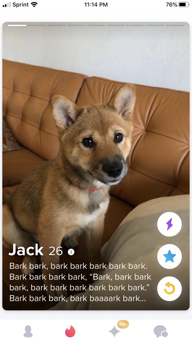 vangoffaway's tweet photo. Found the goodest boi 12/10
.
.
.
#tinder #adventuresintinderland https://t.co/PIe8M0bmcK