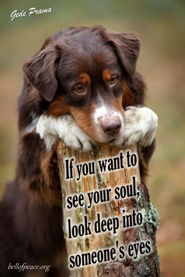 gede_prama's tweet image. If you want... #Peace #gedeprama #bali #beauty #happy #healthy #holy #innerharmony #JoyTrain 

Photo courtesy: Pinterest