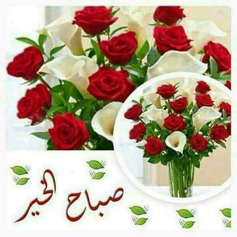 BarmanMobarek's tweet photo. @badr_elmteri https://t.co/sk8V6mrcfj