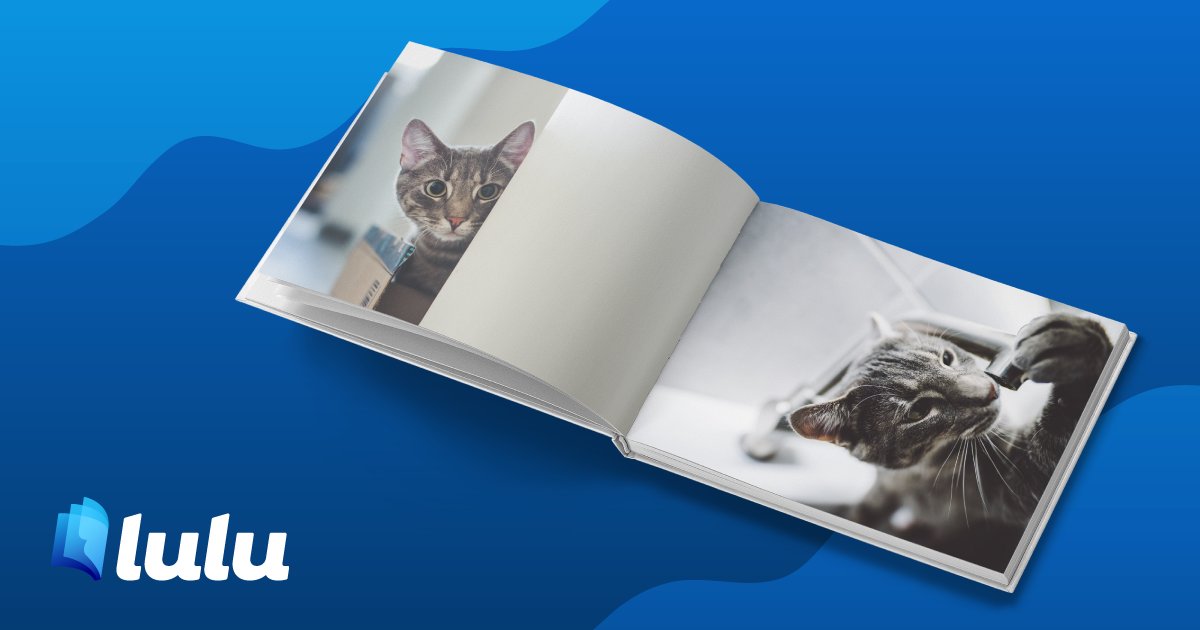 Captez tous les beaux moments de cette année dans un album photo sur Lulu : buff.ly/2EcVuZv