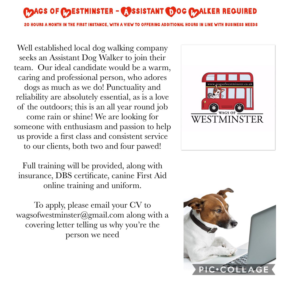westminsterwags's tweet photo. We are looking for the perfect assistant #dogwalker to join our #dogwalking business! If you love dogs and aren’t afraid of hard work then please get in touch! #jobvacancy #londonjobs #pimlico #westminster #belgravia #pimlicojobs #situationsvacant #dogwalkerjob https://t.co/oRx0AuAmzK