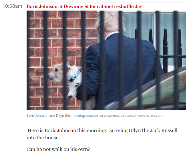 Tony_Diver's tweet photo. New evidence for the #saveDilyn campaign. Dilyn being smuggled into the back of Downing St against his will this morning. (https://t.co/kgSpNOdGby) https://t.co/zD44aYZUhu