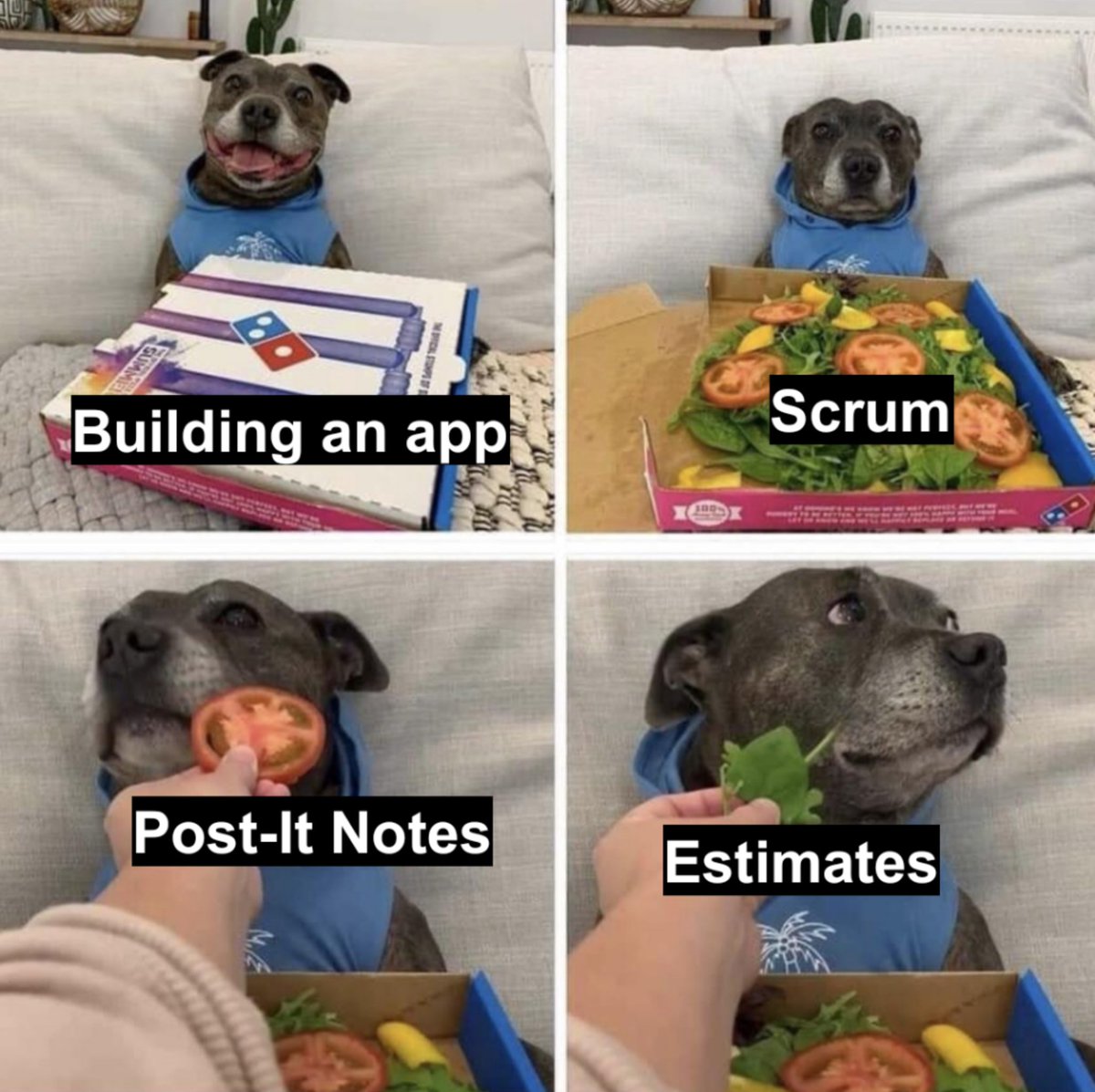 Pizza box and a happy dog: Building an app

Unamused dog with open pizza box revealing salad in the shape of a pizza: Scrum

Dog turning its nose away from tomato: Post-It Notes

Dog turning its nose away from salad leaf: Estimates