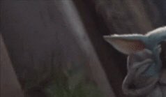 TeamSkullyLive's tweet photo. https://t.co/7iZ3JldiGM