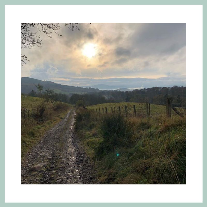 🌲enjoy a winter walk across the 4,000 acres of estate to explore 

🍂 Try to spot resident birds such as red kites and buzzards which can be seen year-round! 

 ⌲⌲⌲ Book your 2020 wild escape today  ⌲⌲⌲  monzieestate.com

#VisitScotland #hiddenscotland