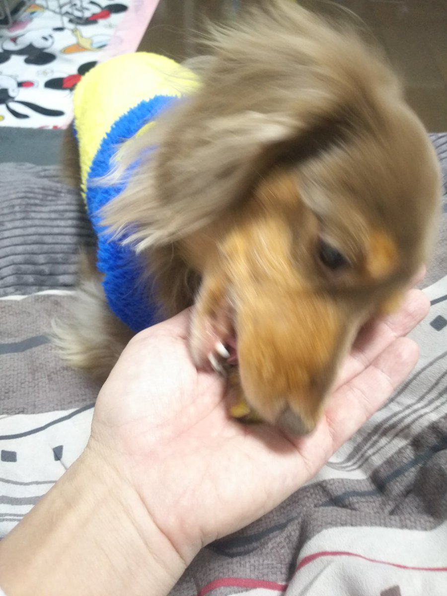 天津甘栗 Twitter Search