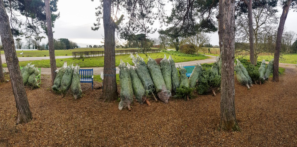 Wiveton Hall tweet media