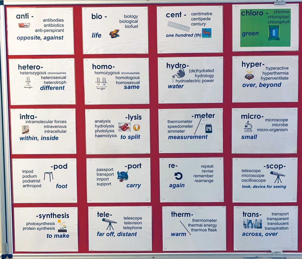 CampionScience's tweet photo. Fresh display in the science corridor! ✨ Understanding the meaning of common root words can help you work out the meanings of new words when you encounter them 🤓 #literacy #science https://t.co/mKc4mtwAiE