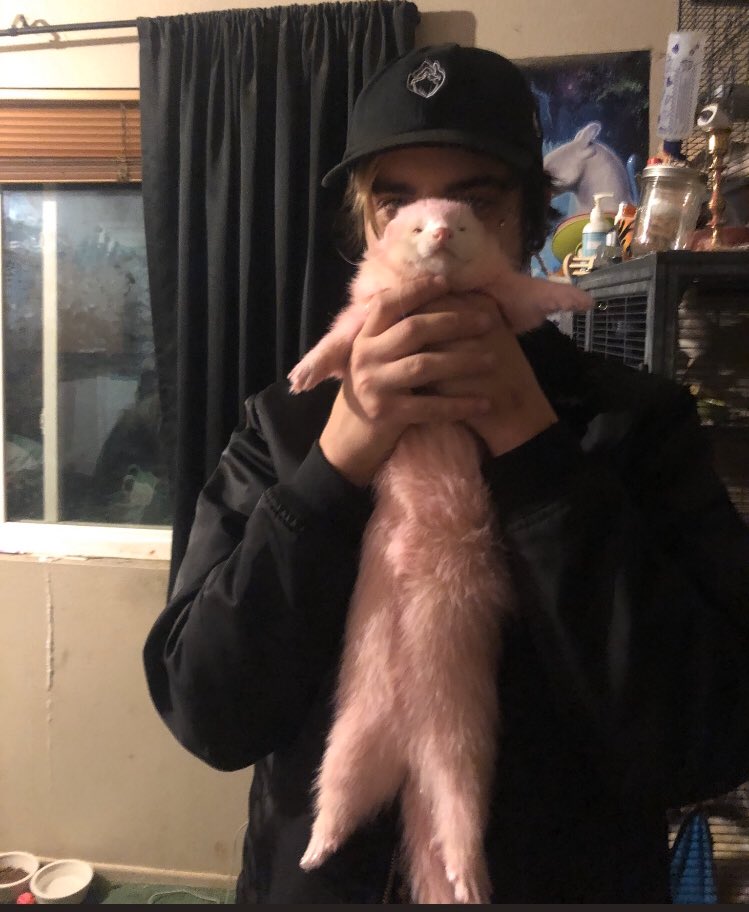 sulkybb's tweet photo. Who wore him better https://t.co/MiQKW52xpL