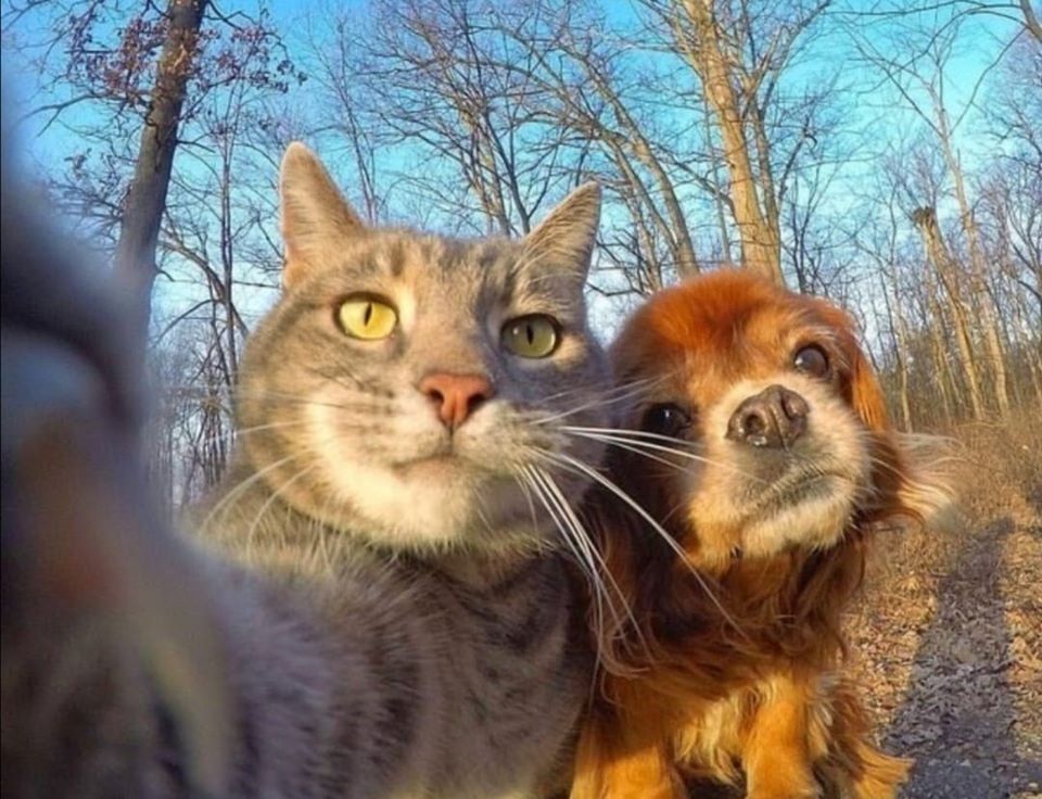 Yeni bir haftadan günaydın🥰 keyifli bol kahkahalı haftalar...
#pazartesi